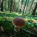 Makowy 度假居 马科夫帕德哈兰斯基