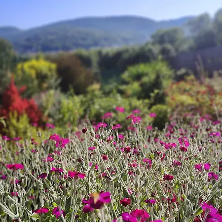 Makowy * Makow Podhalanski