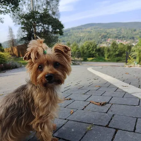 Makowy Casa vacanze Makow Podhalanski