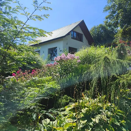 Makowy Maków Podhalański