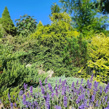 Makowy Dom wakacyjny *