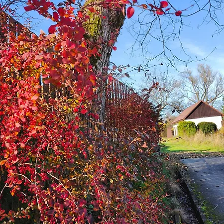 Semesterbostad Makowy