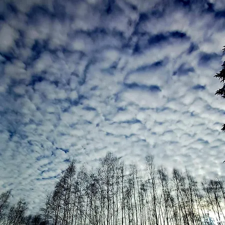 Makowy Dom wakacyjny Makow Podhalanski