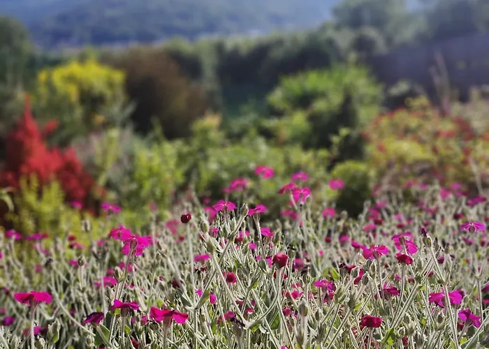 Makowy * Макув-Подхаляньский