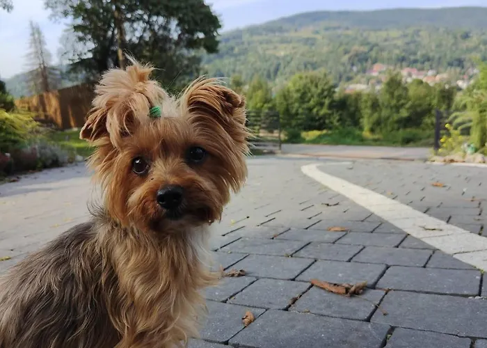 Makowy Casa vacanze Makow Podhalanski