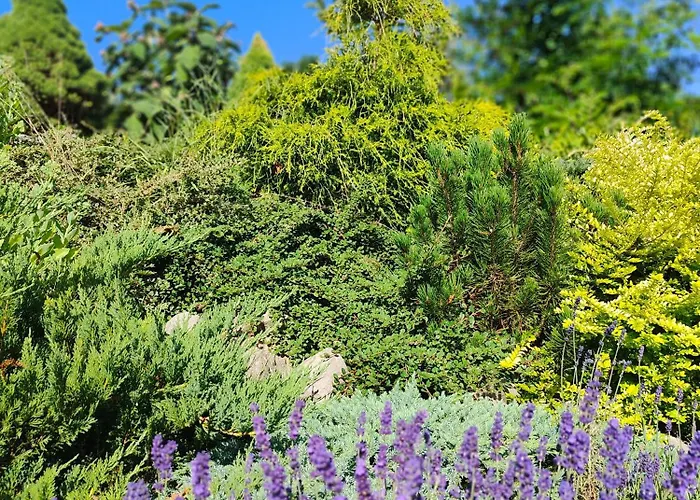 Makowy Semesterbostad *