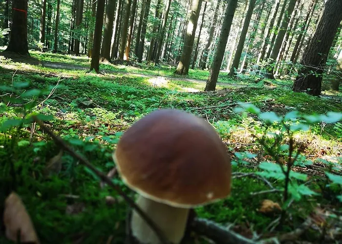 Makowy Casa vacanze Makow Podhalanski